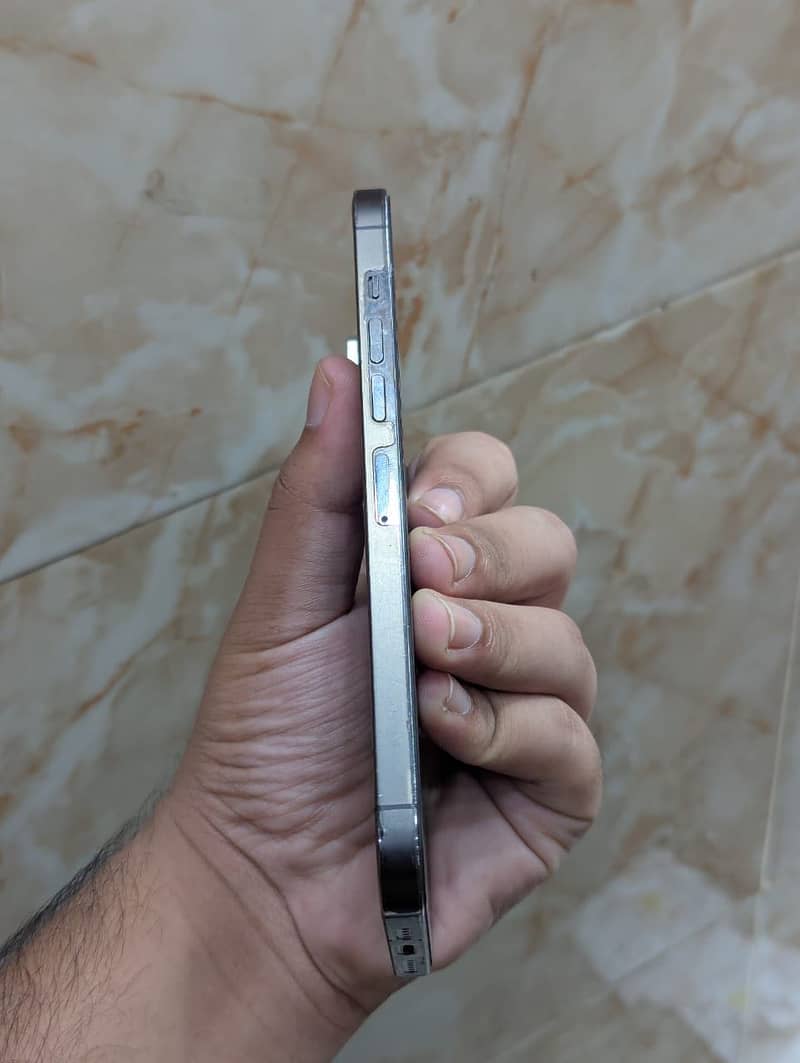 Apple iPhone 13 Pro Max 1