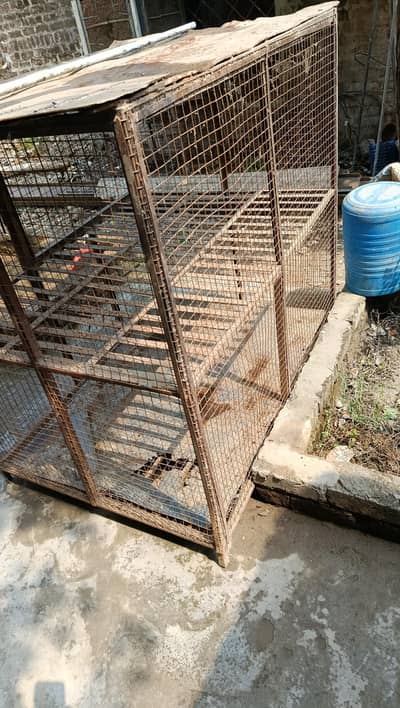 penjra for sale