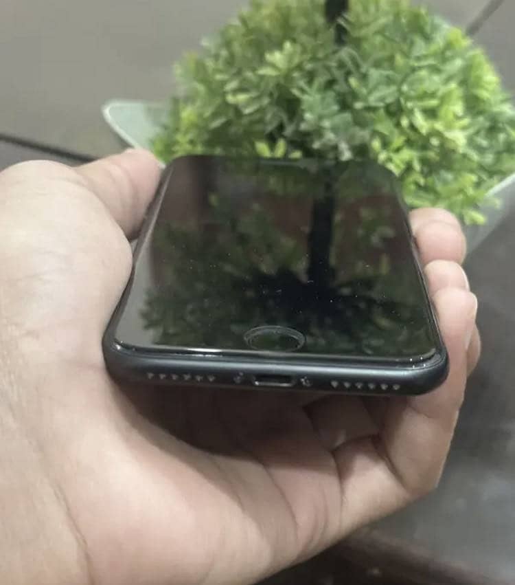 Apple iPhone 7 1