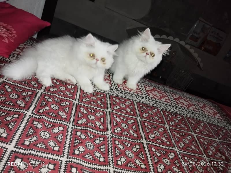 piki faces 2