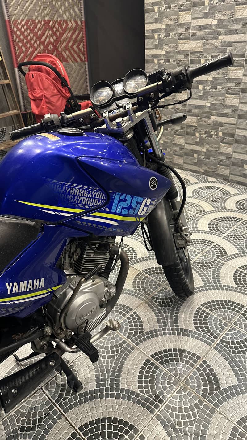 Yamaha YBR 125G - Standard Bikes - 1119223816