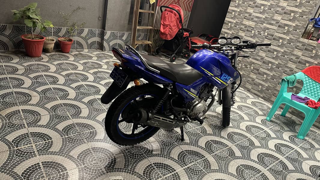 Yamaha YBR 125G - Standard Bikes - 1119223816