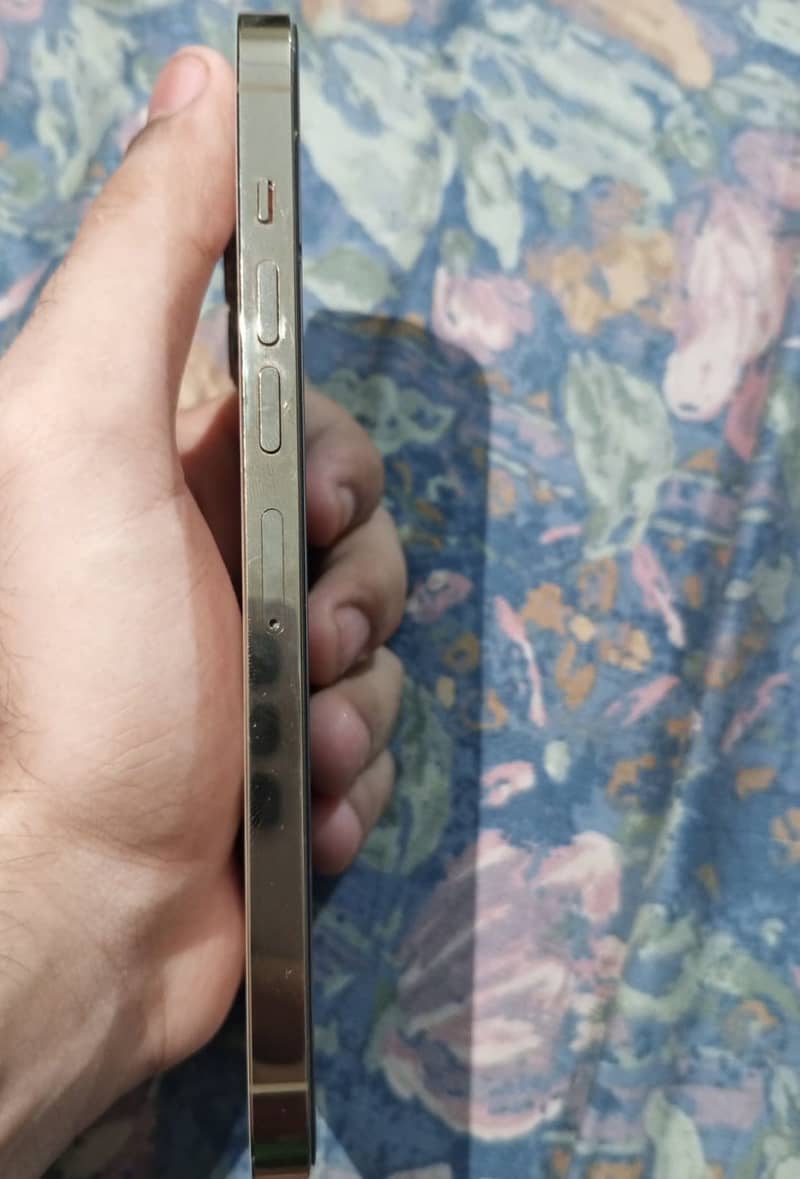 Apple iPhone 13 Pro Max 0