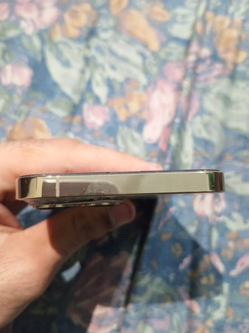 Apple iPhone 13 Pro Max 1