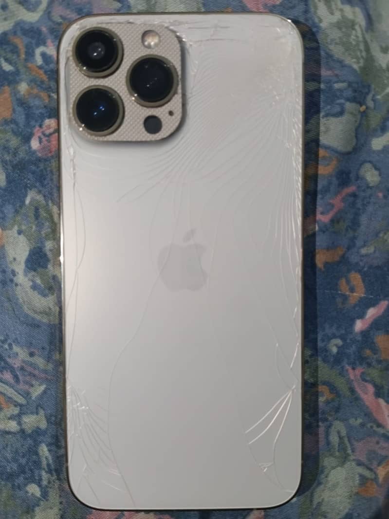 Apple iPhone 13 Pro Max 2