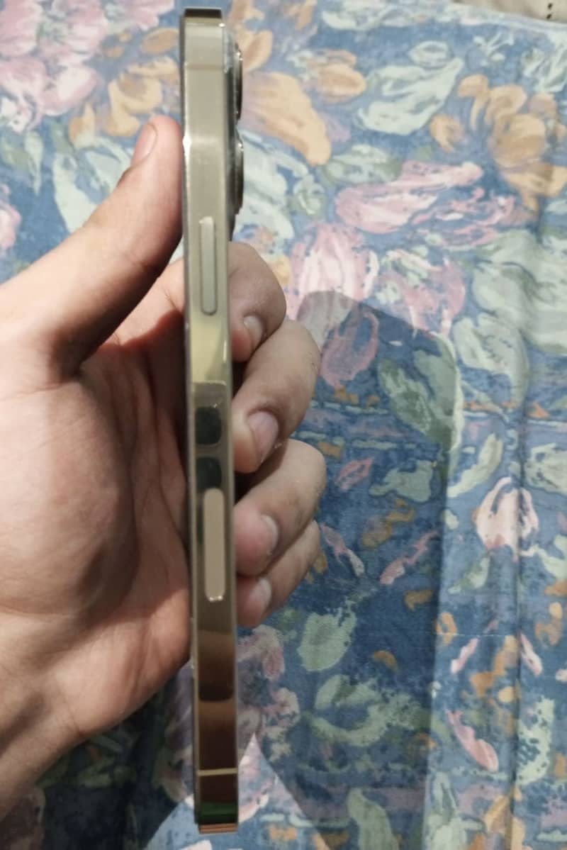 Apple iPhone 13 Pro Max 4