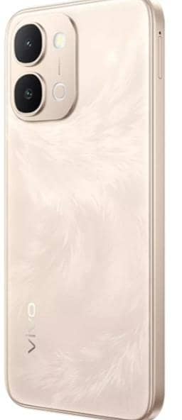 Vivo Y31d