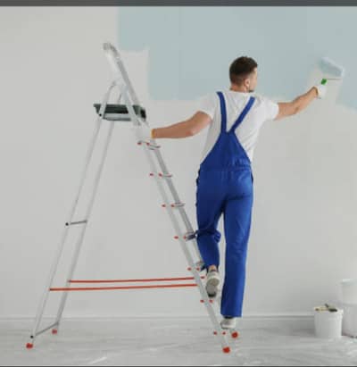 professional painter | house, office & 3D wall painting