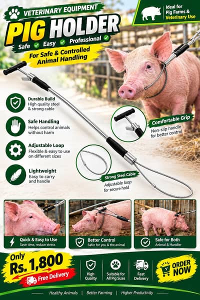 Big Pig Holder