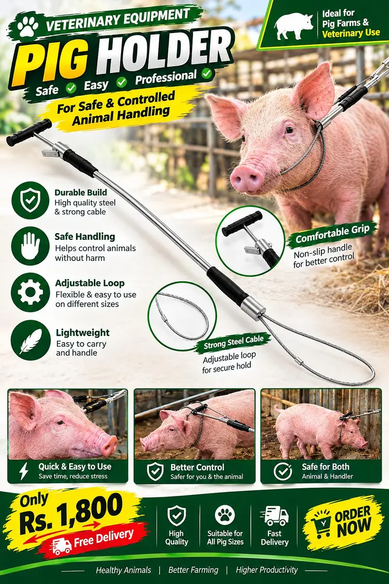 Big Pig Holder