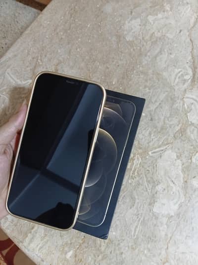 iPhone 12 pro max PTA approved