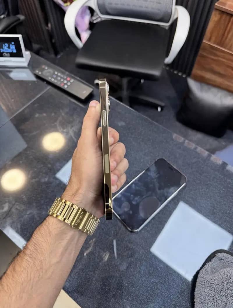 Apple iPhone 13 Pro Max 2
