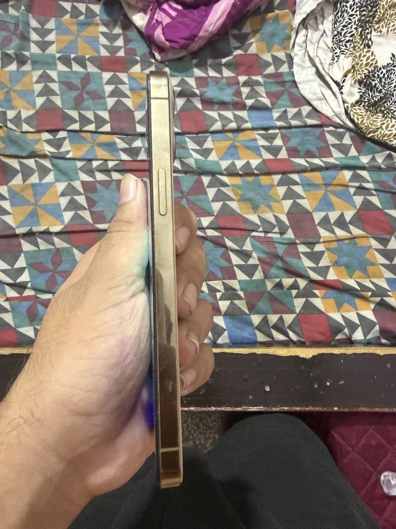 iPhone 12 Pro Max 3
