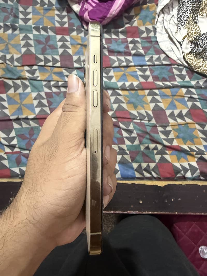 iPhone 12 Pro Max 4