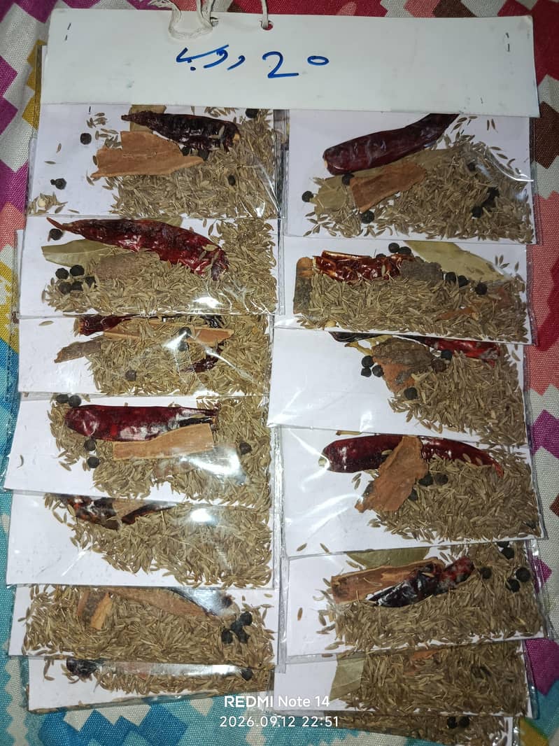 Masala Jaat 0