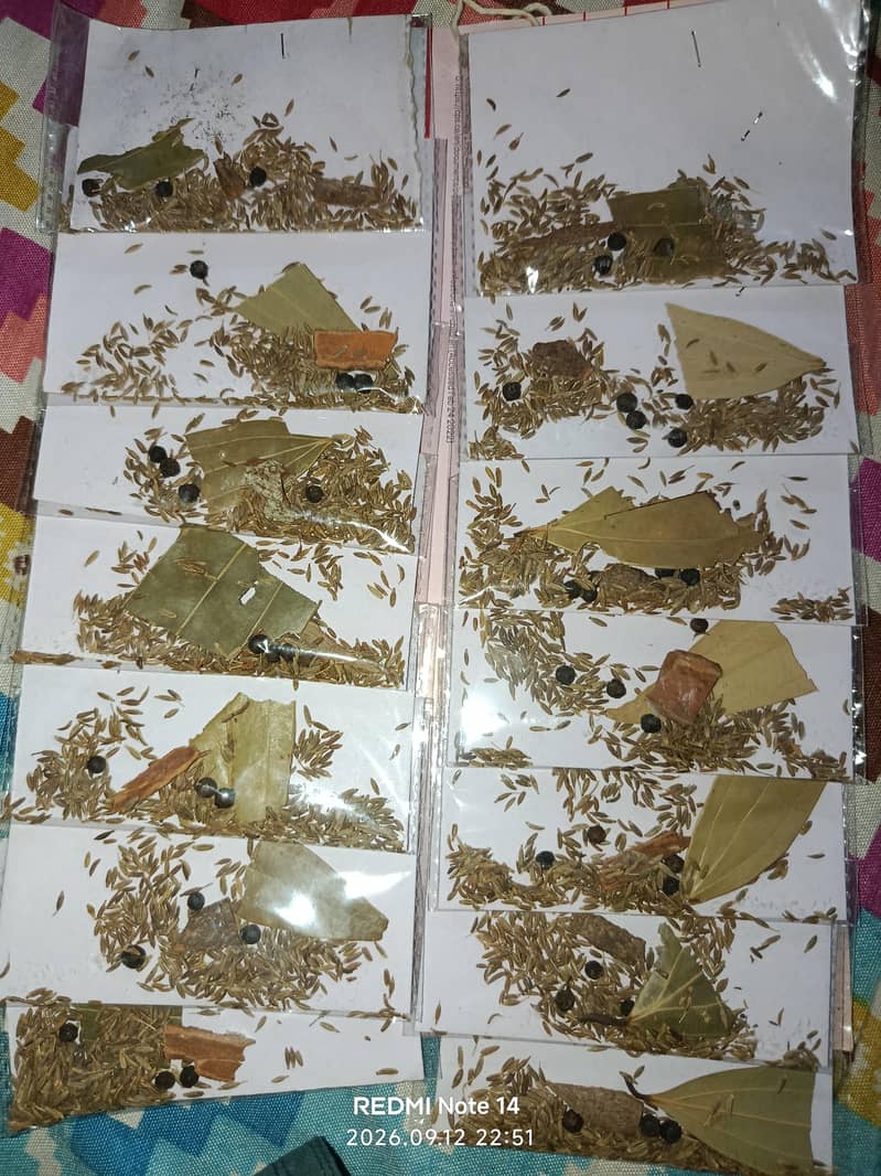 Masala Jaat 2