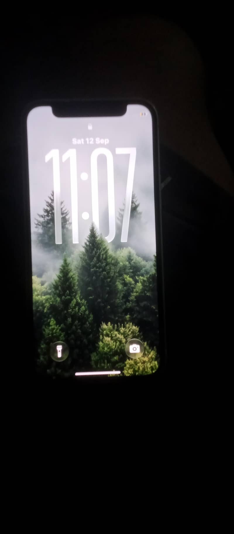 Apple iPhone 12 mini 1