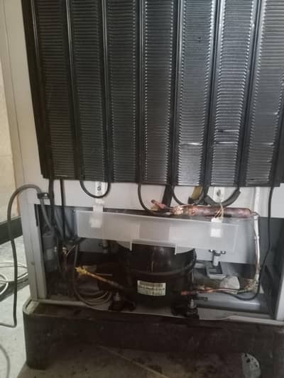 Dawlance Refrigerator for sale in excellent condition