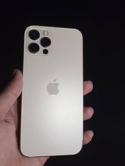 Apple iPhone 12 pro