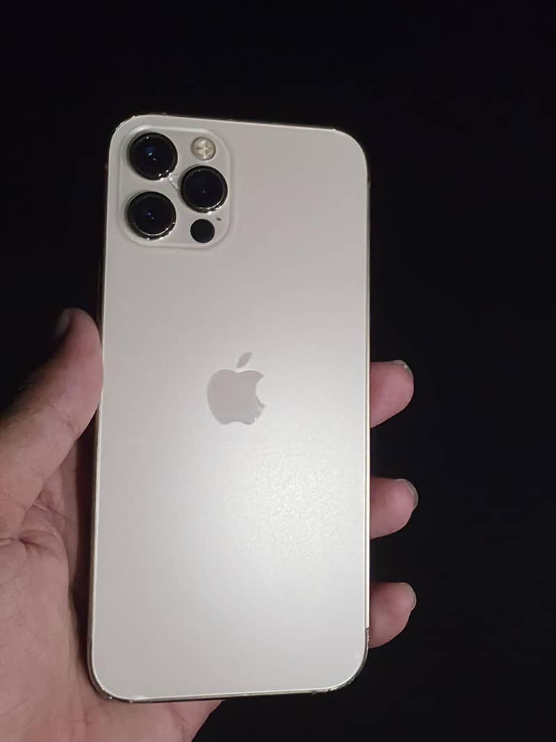 Apple iPhone 12 pro 0
