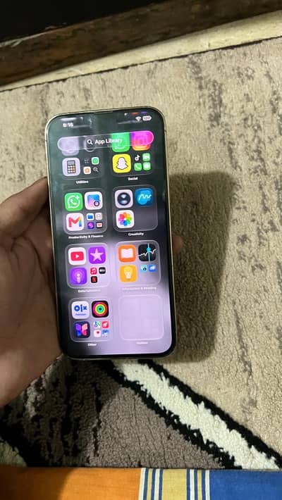 Apple iPhone 13 Pro Max