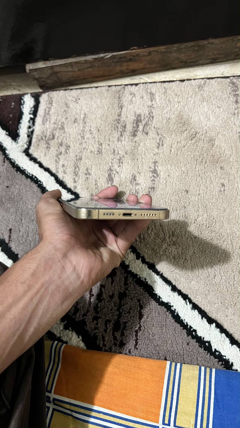 Apple iPhone 13 Pro Max 1
