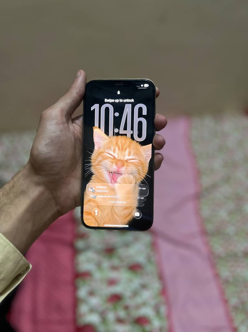 iPhone 12 Pro Max 4