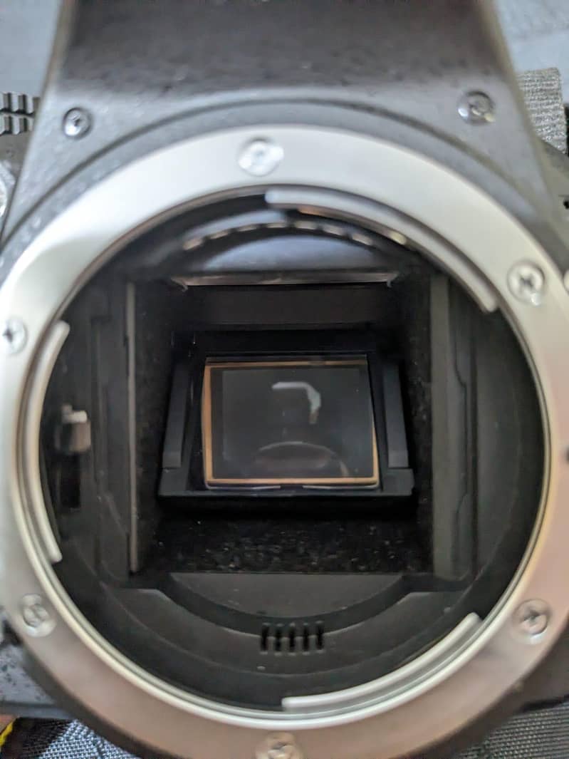 nikon D3100 7