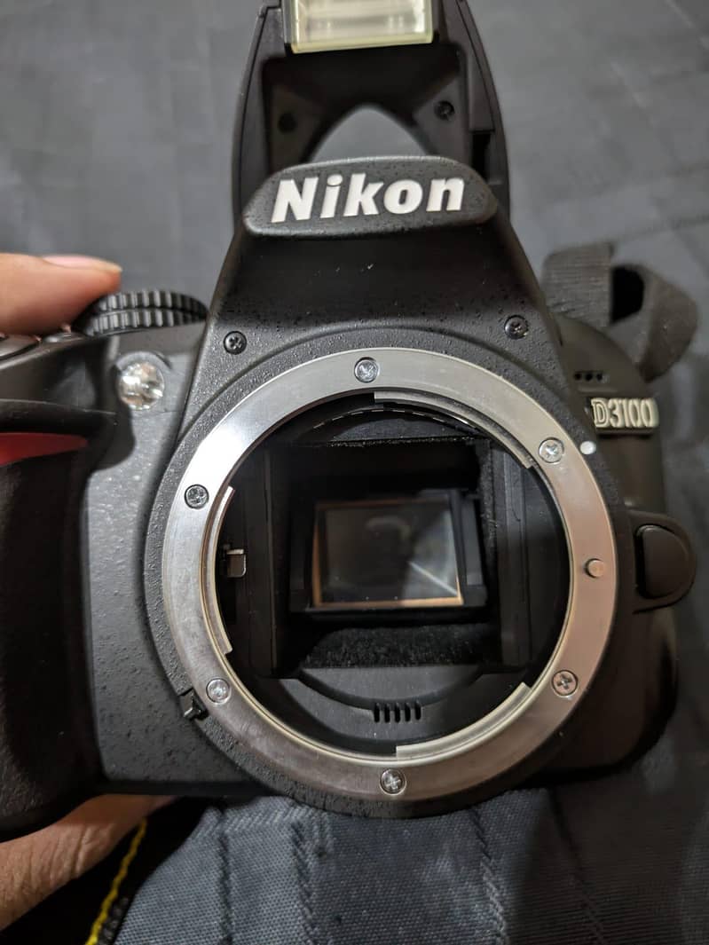 nikon D3100 10