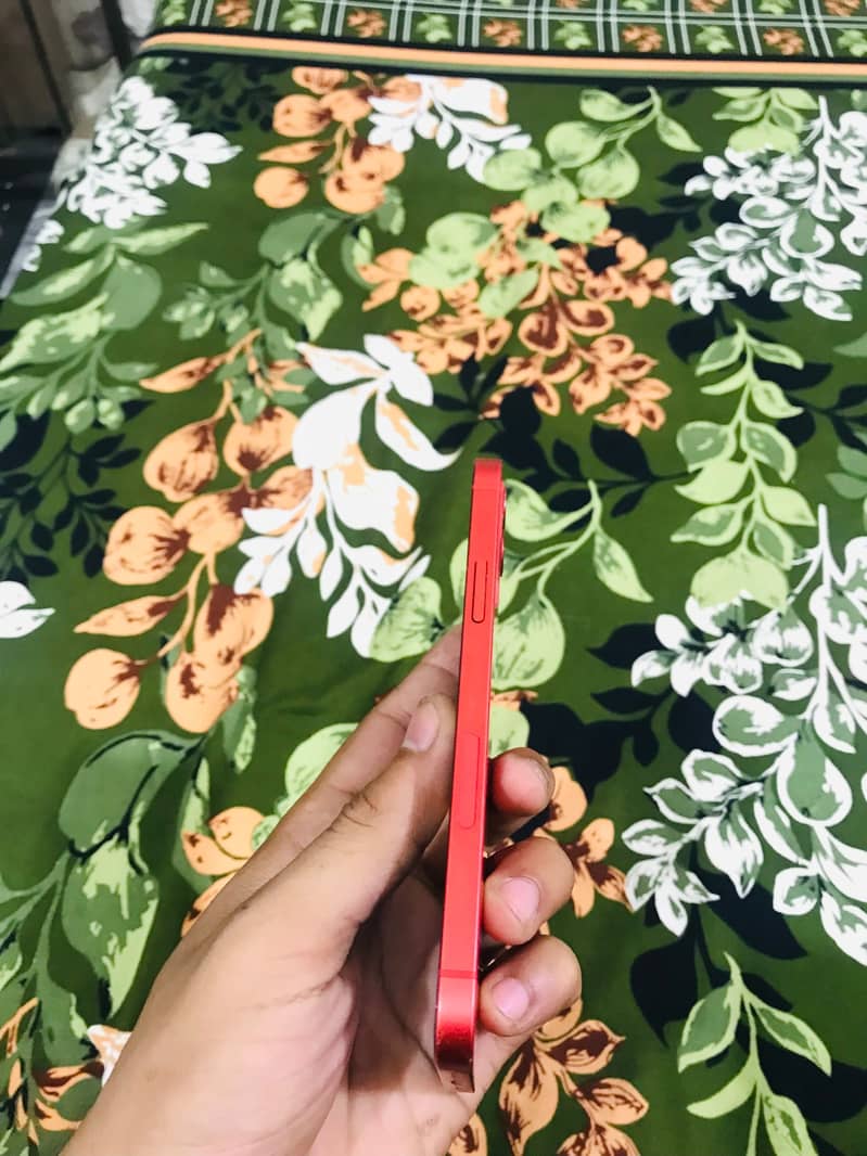 Apple iPhone 12 1