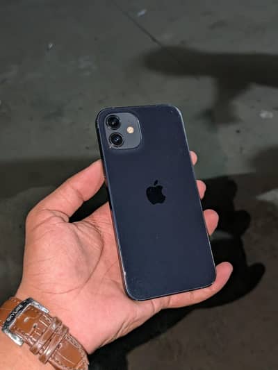 Apple iPhone 12 (03060163287)
