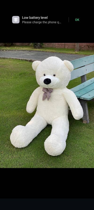 Imported stuff American Chinese teddy bear available