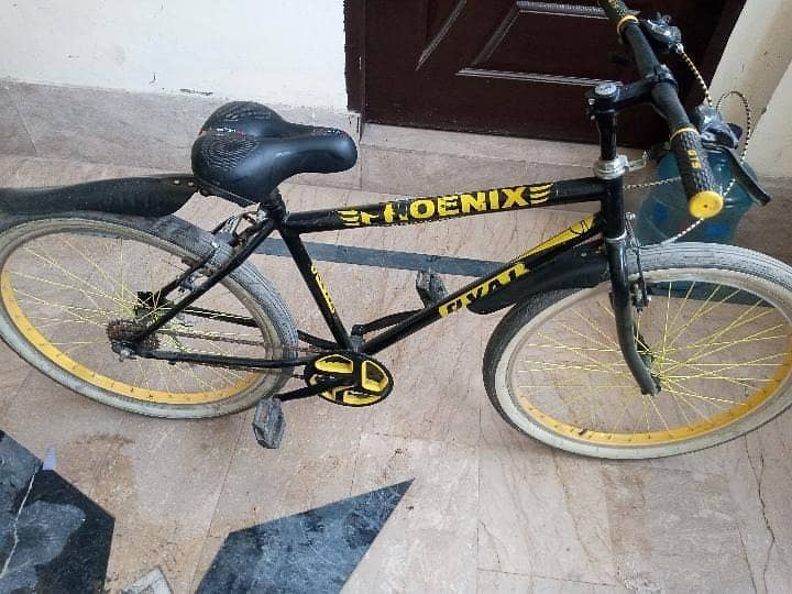 PHOENIX CYCLE 0