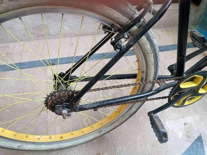 PHOENIX CYCLE 2