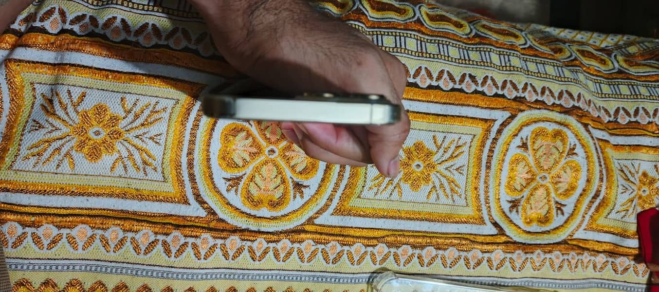Iphone 13 pro max 1