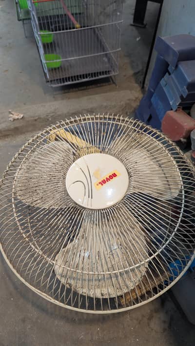 1 Fan