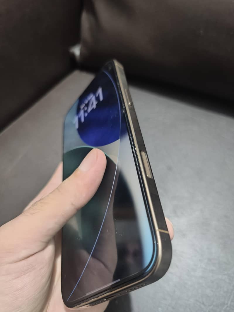 Apple iPhone 16 Pro Max 1