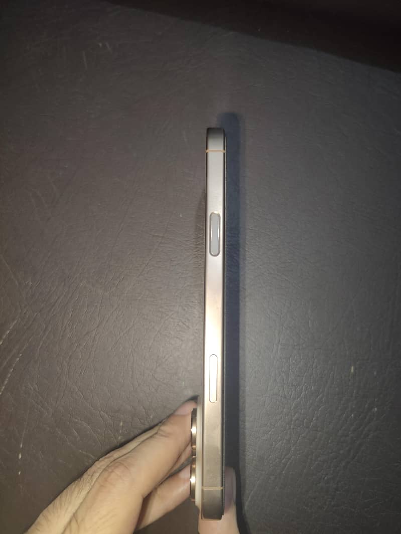 Apple iPhone 16 Pro Max 8