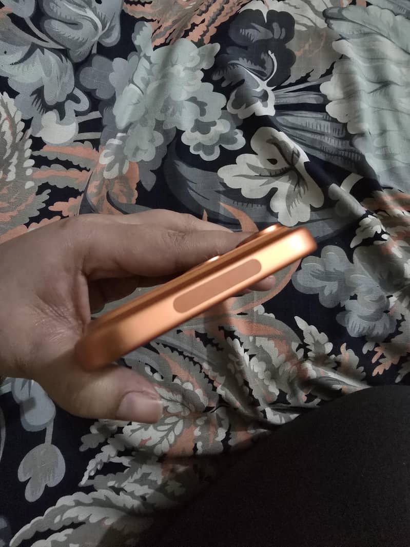 Apple iPhone 17 Pro Max 3