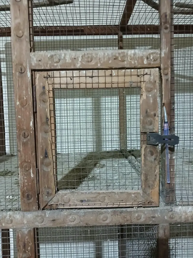 wooden cage — photo 3