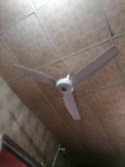 Royal Fans Original built no repair