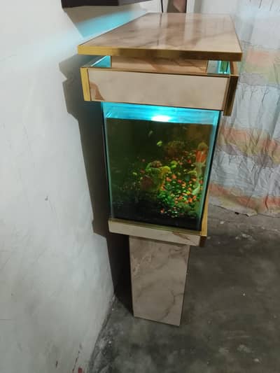 fish tankar