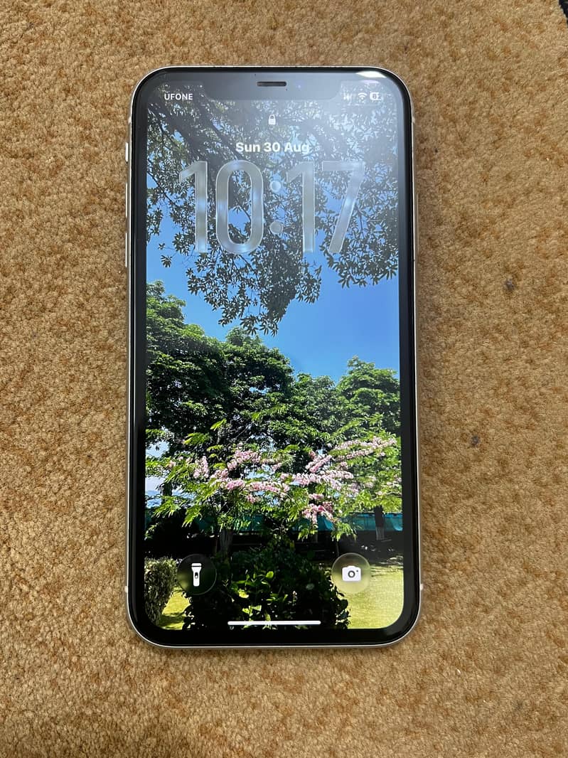 Apple iPhone 11 1