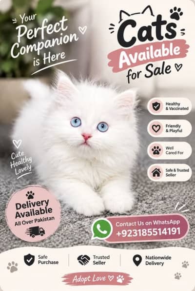 Adorable Persian Cats & Kittens for Sale
