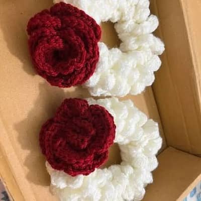 Woolen  gajry