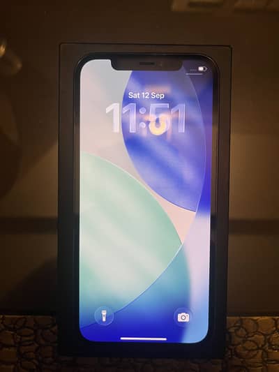 Apple iPhone 12 Pro