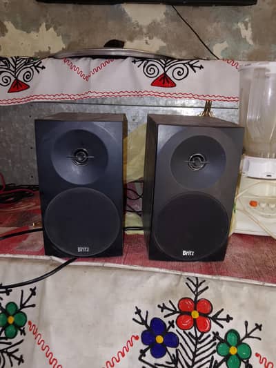britz woofer speaker