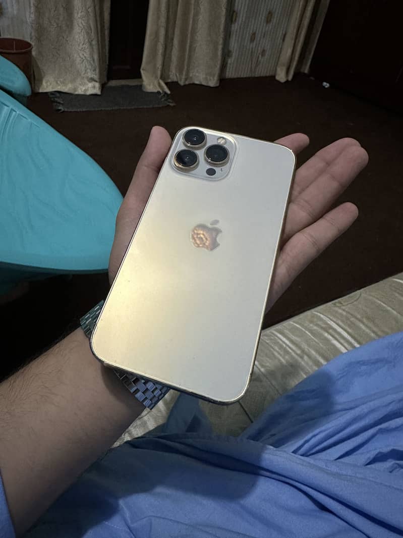 Apple iPhone 13 Pro Max 1