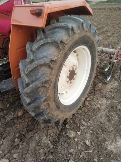 MF 265 special model 86 for Sale 03126549656