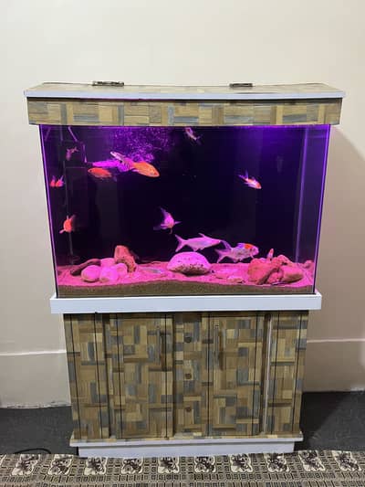 3 fit Aquarium & fishes